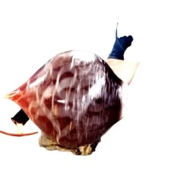 Black Crackle Glass Cremation Urn -Urns Sales Store product Making the Glass Urn 2 1501012781 20191019225235 2