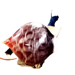 Black Gold Organic Glass Cremation Urn 8 Black Gold Organic Glass Cremation Urn -Urns Sales Store product Making the Glass Urn 2 1501019955 20191019235212